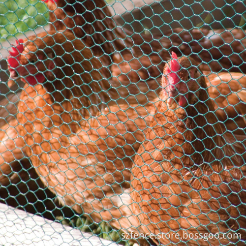 pvc coated or galvanized hexagonal wire netting